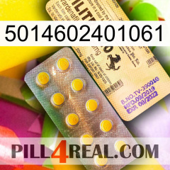 5014602401061 new06